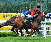 Cannon Hill gets up in the final stride to claim Bee Ahead with Mitre Peak back in third place.<br>Photo by Singapore Turf Club